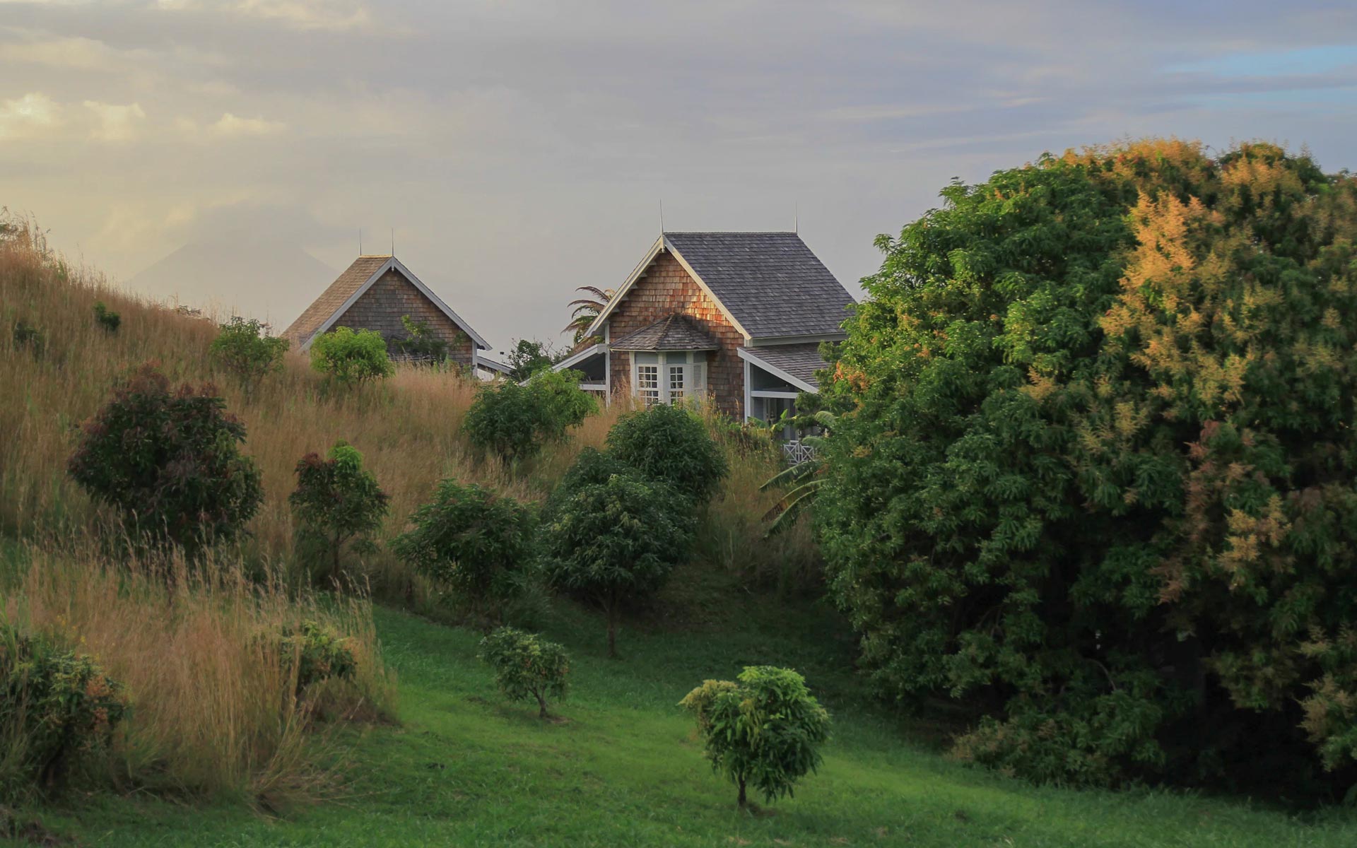 cottage3-slider-bg1